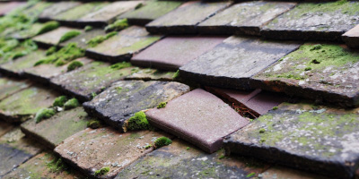 Manordeilo roof repair costs